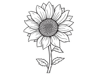 Sunflower Creative Line Art Design