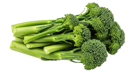 Isolated Broccoli Stalks
