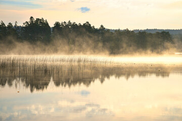 Mystical morning at the lake, fog, reflections and quiet natural idyll