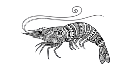 Isolated Shrimp Zentangle