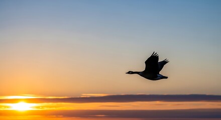 A goose soars through a vibrant sunset sky.
