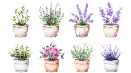 Fototapeta premium Title: Beautiful Set of Watercolor Vintage Flower Pot with Colorful Bouquet Illustration Isolated on White Background