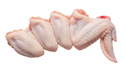 Isolated Chicken Wings