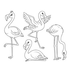 Line Art Flamingo Collection: A collection of flamingo illustrations captures the essence of these graceful birds in diverse poses and postures, perfect for coloring or design projects. 
