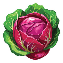 Obraz premium Vibrant Red Cabbage Head Amidst Fresh Green Leaves A Culinary Delight and a Celebration of Nature's Bountiful Harvest