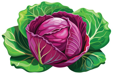 Vibrant Red Cabbage Head Amidst Fresh Green Leaves A Culinary Delight and a Celebration of Nature's Bountiful Harvest