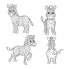 Zebra Sketches: A collection of charming zebra sketches showcases the majestic animal from multiple perspectives, capturing its striking patterns and endearing charm.