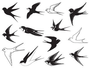 SWALLOW BIRDS SILHOUETTE.