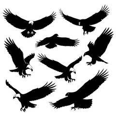 Silhouettes of Birds in Flight Forming Artful Patterns
