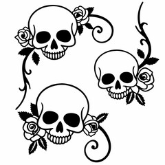 skull and crossbones