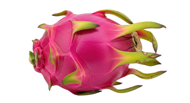 Isolated Dragon Fruit