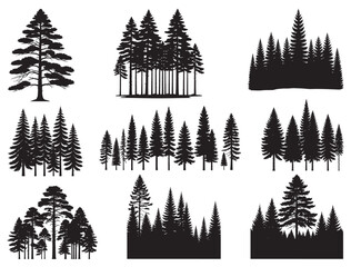 Obraz premium TREES SILHOUETTE