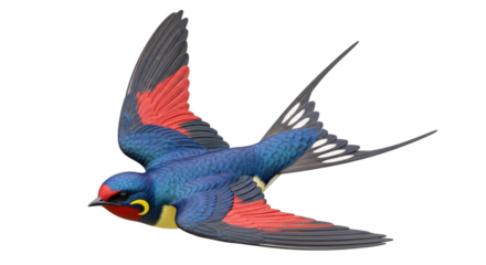 Isolated Barn Swallow in Flight