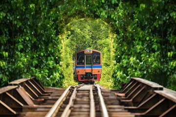Train running in tree tunnel on the railway in Bangkok Thailand. focus at train