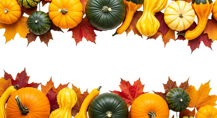 A festive autumn harvest border featuring pumpkins gourds and colorful fall leaves isolated on transparent background