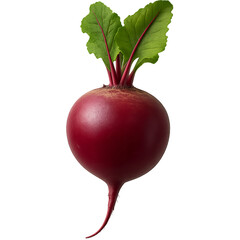 Red beetroot with leaves for cooking