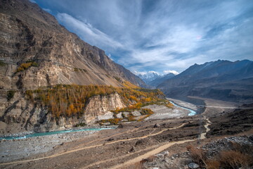 View of the turquoise river carves through the rugged, rocky valley, with autumn trees clinging to the cliffs and snow-capped peaks in the distance, Hunza Nagar, Gilgit Baltistan, Pakistan.