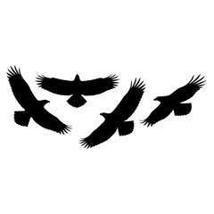 Obraz premium Silhouettes of Birds in Flight Forming Artful Patterns