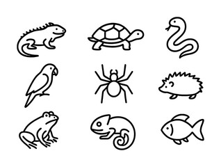 Black line art of various animals: iguana, turtle, snake, parrot, spider, hedgehog, frog, chameleon, fish