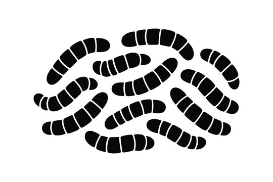 Cluster of black segmented worms or larvae arranged in a circular pattern on white background