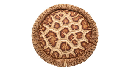 Isolated Shiitake Mushroom Top View