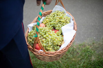 Fruit basket. Grapes in the basket. A wicker basket in his hand.