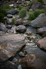 Rocks in the water. Wet rocks. The flow of water in the mountains.