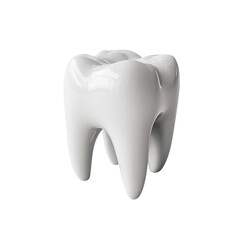 tooth anatomy Isolated transparent on white background