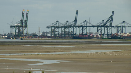 Saeftinghe, Antwerp Nature, harbour, shipping and unique tidal landscape together