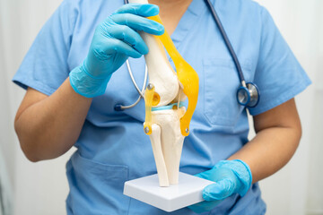 Asian doctor holding spinal nerve and bone model, Lumbar spine displaced herniated disc fragment...