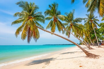 Tropical beach scene with swaying palm trees