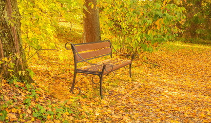 bench in the autumn park