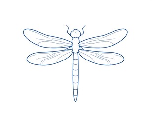 Simple line drawing of a dragonfly (1)