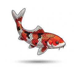 fish on a white background