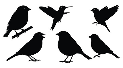 Silhouette of various birds isolated on white background, including songbirds in different poses, flying, perching, and singing, in a minimalist design