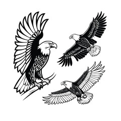 Fototapeta premium EAGLE SVG, eagle cut file, eagle silhouette, eagle dxf, eagle vector, eagle head svg, eagle cricut, eagle eps, eagle logo svg, stencil, dxf 