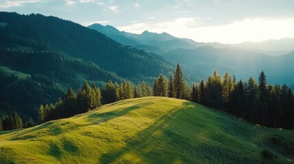 Obraz premium A picturesque landscape featuring rolling hills, lush green grass, and a backdrop of majestic mountains bathed in soft sunlight.