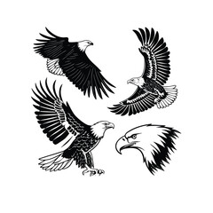Fototapeta premium EAGLE SVG, eagle cut file, eagle silhouette, eagle dxf, eagle vector, eagle head svg, eagle cricut, eagle eps, eagle logo svg, stencil, dxf 