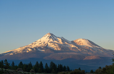 View of snow-capped peaks bathed in golden sunlight contrast with the deep green of the forest below against a clear blue sky, Mount Shasta, California, United States.