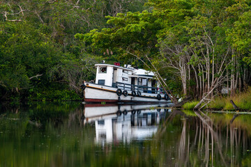 A boat rounds a bend in a tropical river with lush forest.