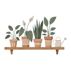 Potted Houseplants on a Wooden Shelf with Watering Can Decorative Indoor Gardening Illustration Cozy Home Decor and Natural Light