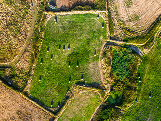 Top Down view over Cornwall fields and farms from a drone, Lizard Peninsula, South West Coast Path, Lizard, Cornwall, England