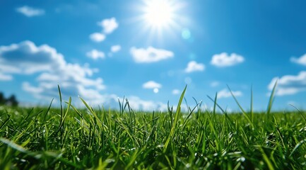 Obraz premium Lush green grass field under bright sky (3)