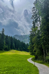 Mysterious forest with path and fog