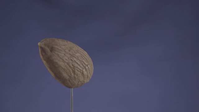 Almond rotating with loop on blue screen for chroma key