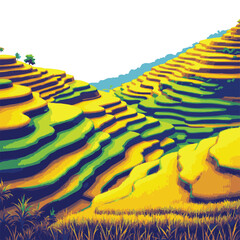 Rice Terraces Landscape