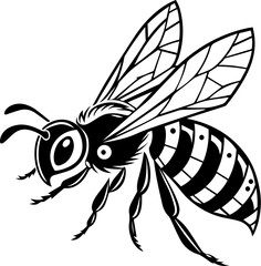 honey bee vector EPS file