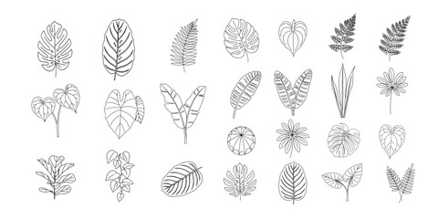 Diverse Collection of Minimalist Line Art Foliage
