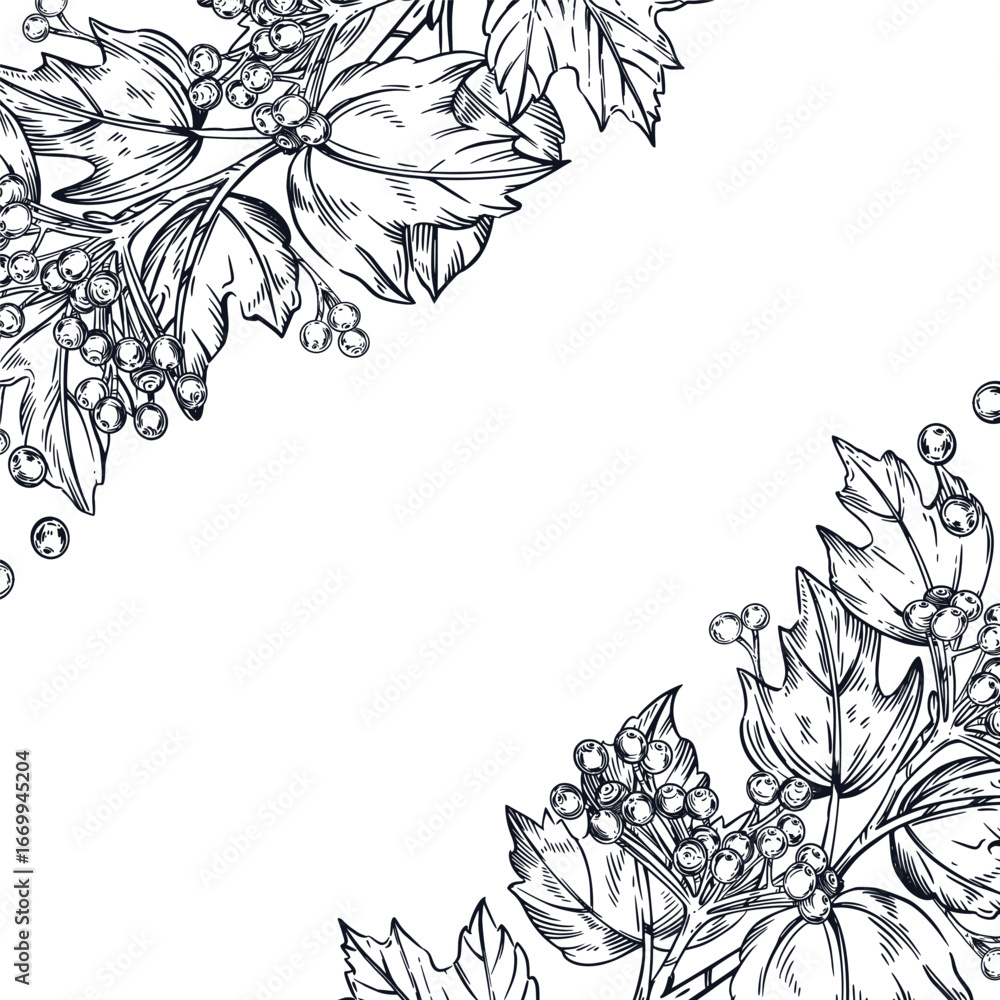 Aufkleber a square frame of viburnum branches with berries and leaves. all objects are hand-drawn in vector. t
