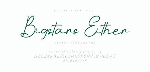 Signature Font Uppercase Lowercase And Number. Script Font Calligraphy Logotype  elegant Font Type Font lettering handwritten. vector illustration  
